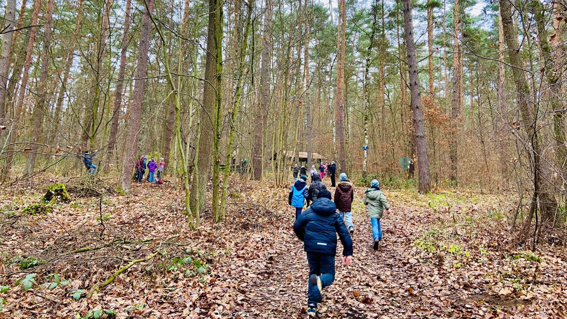 foto_wald
